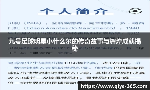 九号足球明星小什么尔的传奇故事与辉煌成就揭秘